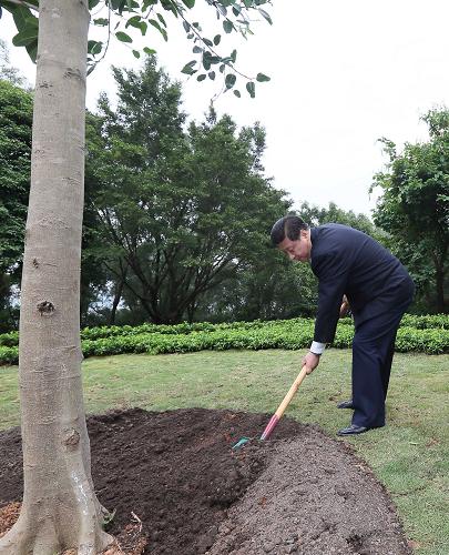 2012年12月7日至11日，習近平在廣東省考察工作。這是8日上午，習近平在深圳蓮花山公園種下一棵高山榕樹(shù)。新華社記者 蘭紅光 攝